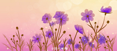 flowers illustration