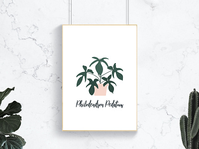 Philodendron Pedatum Plant Illustration daily ui design illustration interior design modern plant illustration plant poster plant print poster simple illustration ui user experience user interface vector