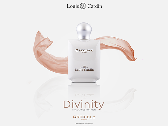Louis Cardin - Social Media & Lead Campaign Ads campaign ads campaign design graphic design social media posts