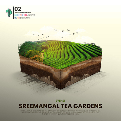 Macro Bangladesh - Sreemangal Tea Gardens , Sylhet 3d 3d design bangladesh branding chabagan design designer graphic design macro manipulation nazmulgfx nzmlhrd photo manipulation photo retouch sylhet teagarden ui