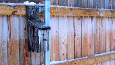 Texas freeze birdhouse icicle nature photography