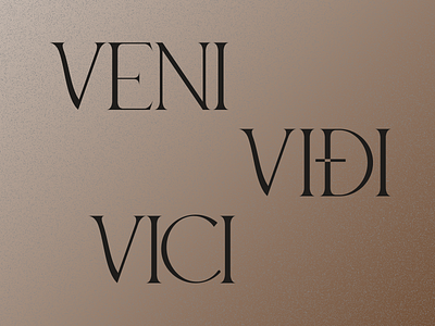 Veni Vidi Vici 2022 agency black brown cuberto design figma graphic illustration illustrator logo noise photoshop qoulio ui veni vidi vici