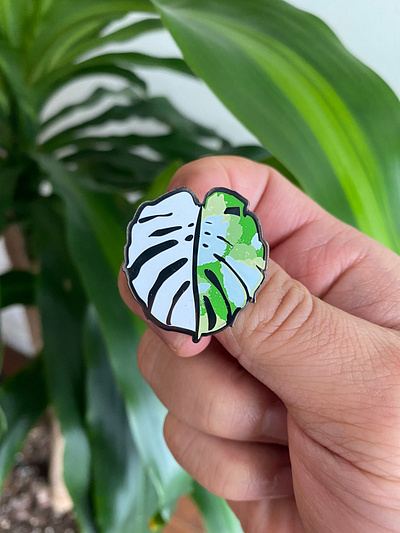 Variegated Monstera Pin design enamel pin illustration lapel pin monstera pins plant daddy plant lady plant pin plants product design screen print