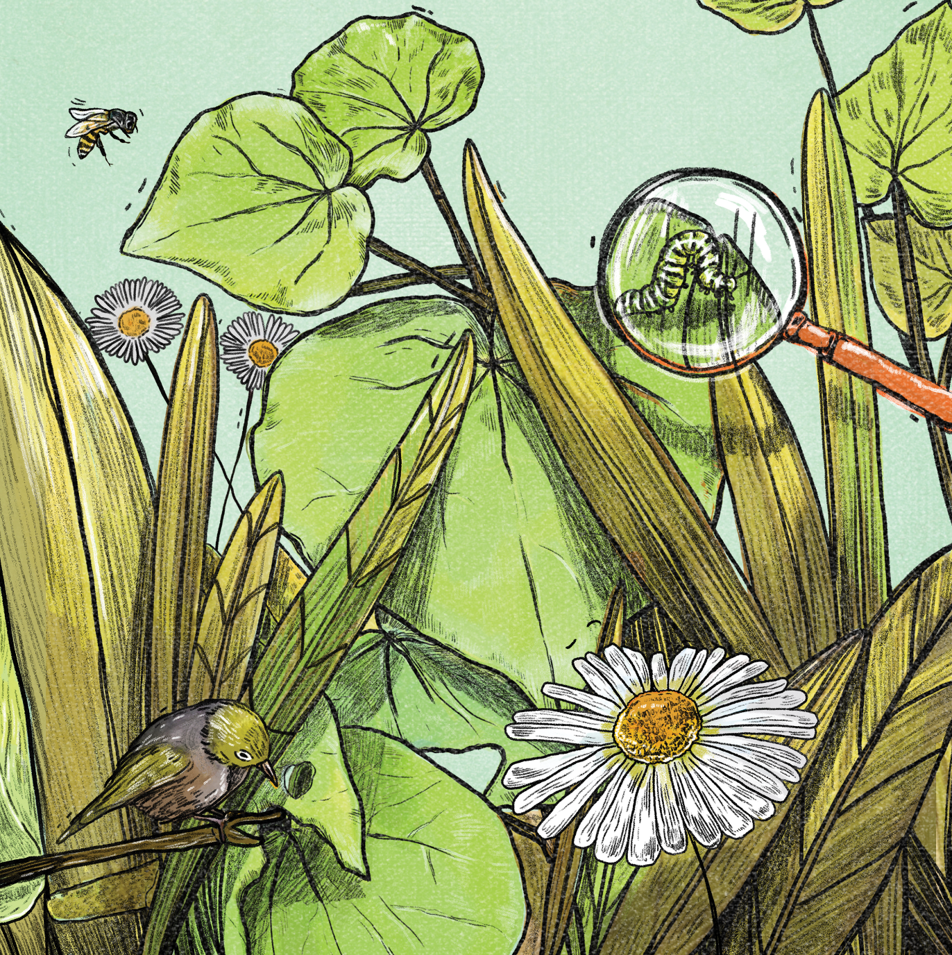Example of Explore: Nature Activity Book
