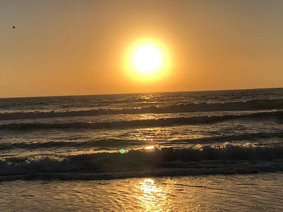 Seagull’s Day 2 Comes To An End ocean seagull sunset