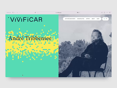 ViViFiCAR Website - Artist Detail Page 💻 animation artist graphic design motion graphics photography product typography ui ux