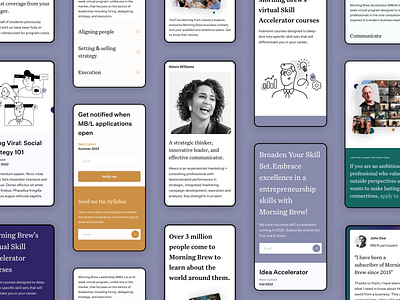 Morning Brew Accelerator business clean design cohort courses courses education illustration learning morning brew newsletter newsletters online learning ui uidesign ux uxdesign uxui web design webdesign
