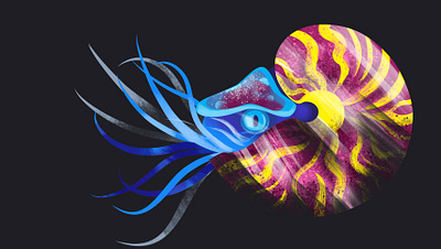Nautilus animals cliparts branding design digital editorial illustration logo nautilus vector