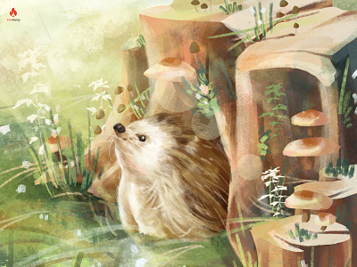 Hedgehog Illustration (Natural Habitat) graphic design illustration