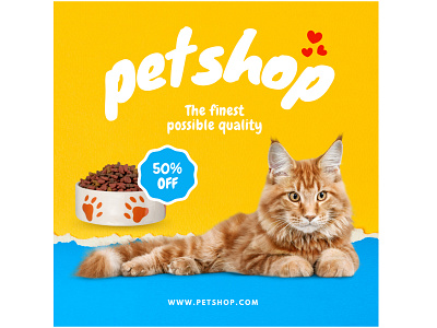 Post Design - Pet Accessories branding canva cat dog accessories design facebook post design graphic design graphic designer illustration instagram post design logo pet accessories pets social media graphic designer social media manager