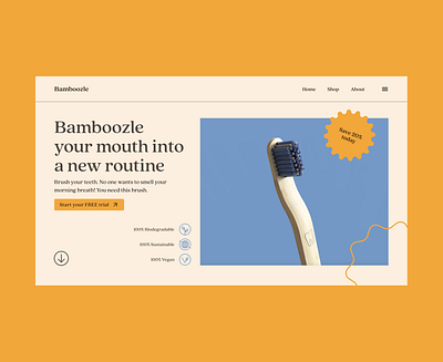 Bamboozle UI branding graphic design icon design product design ui ux web design
