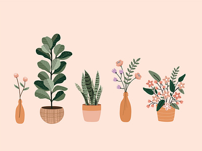 Plant Illustrations 2d art artwork colorful creative cute design digital illustration flower flowers fun graphic design illustrate illustration illustrations plants vector