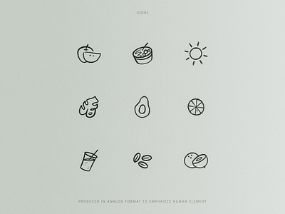 Food & Wellness Icons branding design food graphic design health iconography icons illustration wellness