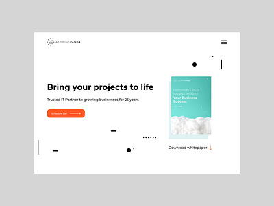 Aspiring Panda website landing page product page ui web website