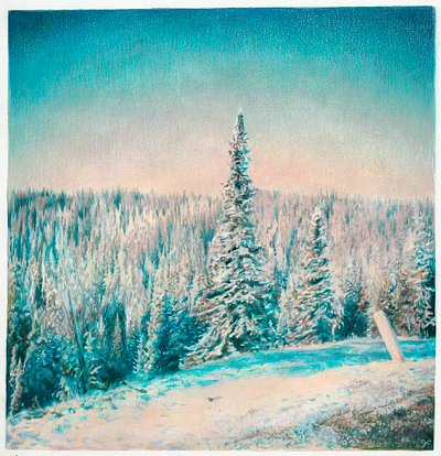 timberline, drawing colored pencil drawing hand drawn illustration realism
