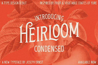 Heirloom Condensed alternate characters beer branding display font font glyphs heirloom lettering ligature serif slab serif type type design typography vintage