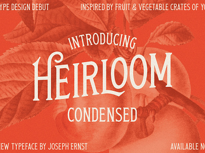 Heirloom Condensed alternate characters beer branding display font font glyphs heirloom lettering ligature serif slab serif type type design typography vintage