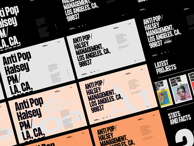 Anti Pop Exploration branding design graphic design interface minimal typography ui webdes website