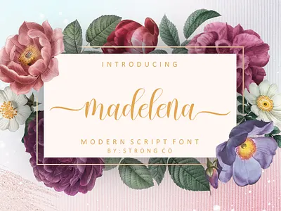 madelena branding design graphic design illustration logo logo fonts love fonts modern fonts script fonts