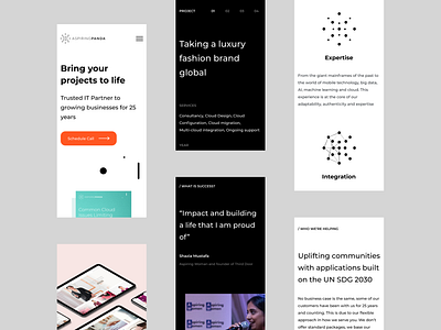 Aspiring Panda website mobile mobile ui ux web