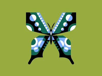 🦋 butterfly insect nature