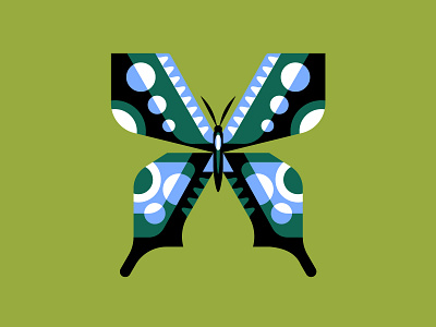 🦋 butterfly insect nature