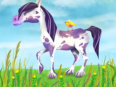 Pinto horse animal illustartion character character design character illustration illustration photoshop