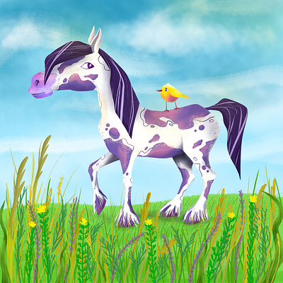 Pinto horse animal illustartion character character design character illustration illustration photoshop