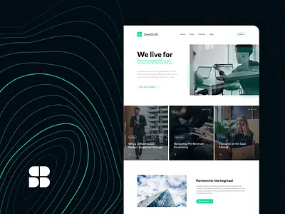 SeedtoB black branding design green hero logo ui ux website