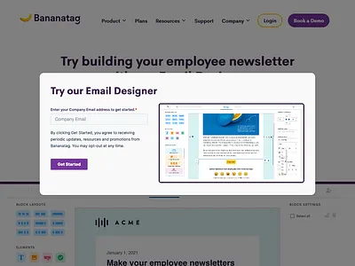 Gated Page for Bananatag leadgeneration marketing popup ui ux webdesign website wordpress