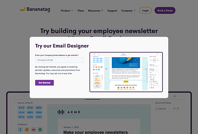 Gated Page for Bananatag leadgeneration marketing popup ui ux webdesign website wordpress