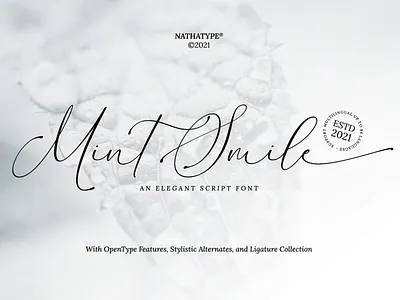 Mint Smile - Script Font branding design font fonts logo logo type typography ui