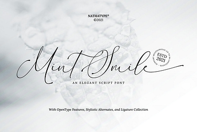 Mint Smile - Script Font branding design font fonts logo logo type typography ui