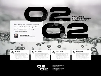 Investment company Web Design branding design graphic design illustration interface landing page ui ux web website