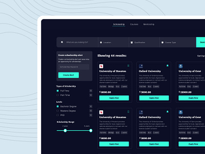 Scholarship - Website design ui user experience ux web design website