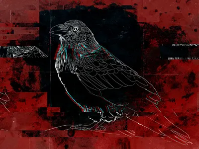 Crow Cover bird crow digital art digital illustration glitch graphic design rgb rgbsplit