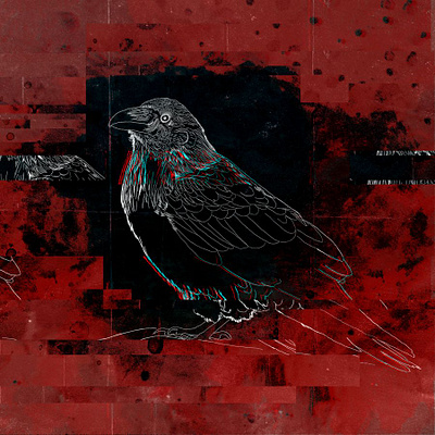 Crow Cover bird crow digital art digital illustration glitch graphic design rgb rgbsplit