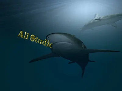 Test 3 D design illustration logo