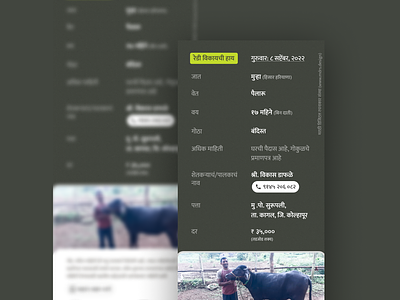 Livestock sale advertisement for Indian cattle breeders farmer marketing ui user experience