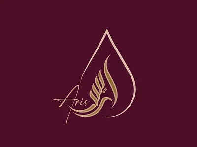 Aris 3d logo graphic design lettering logo logo design minimalist logo