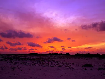 The Passing of Beauty camera colors composition design photography warm colors