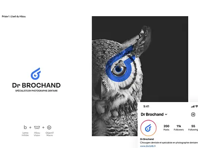 Logo for a Dental Photography Specialist branding dentalcare dentalphotography graphic design logo owl visualidentity