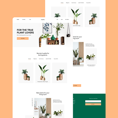 Landing Page Design for Plants Shop adobe photoshop adobe xd design greeen illustration minimal plants trend ui uxui vegan