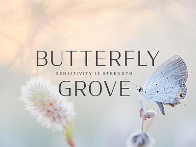 Butterfly Grove - Brand Identity branding color palette design graphic design illustration logo submark typography vector