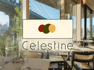 Celestine logo design branding graphic design logo