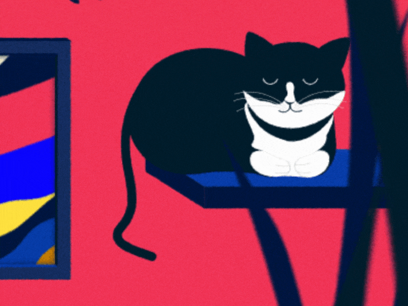 Room - Personal Project | Shot #04 12 principles after effects animation cat cats colors computer design gif illustration loop mograph motion design motion graphics pc plants screen