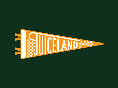 JuiceLand Pennant Flag austin flag pennant flag race texas tx