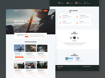 Avia Courses academy avia b2b b2c course courses design figma landing page learning logo plane prototype ui ui ux user interface visual web design