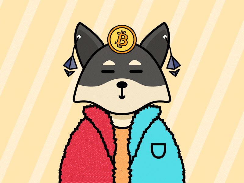 Shiba Fox NFT Collection art art digital bitcoin block chain blockchain collection design digital ethereum fox illustration nft shiba ui