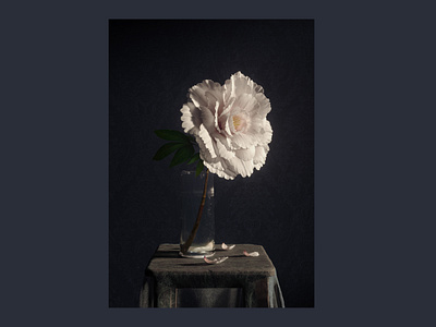 Solo 3d 3d art black blue design floral flowers illustration white